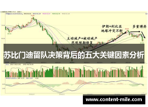 苏比门迪留队决策背后的五大关键因素分析 苏比门迪留队决策背后的五大关键因素分析