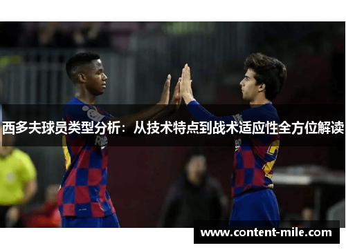 西多夫球员类型分析:从技术特点到战术适应性全方位解读 西多夫球员类型分析:从技术特点到战术适应性全方位解读