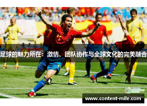 足球的魅力所在：激情、团队协作与全球文化的完美融合
