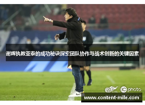 谢晖执教亚泰的成功秘诀探索团队协作与战术创新的关键因素