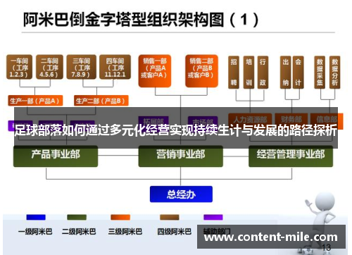 足球部落如何通过多元化经营实现持续生计与发展的路径探析