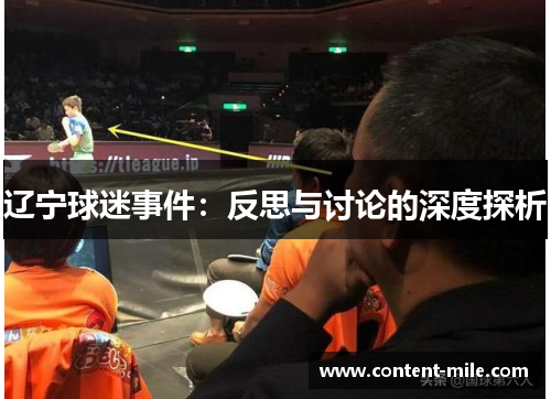 辽宁球迷事件：反思与讨论的深度探析